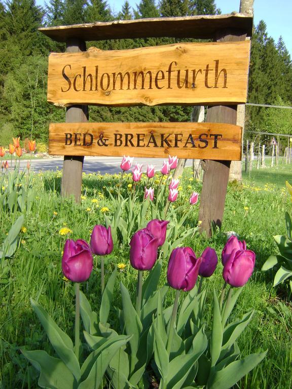 Bed and Breakfast Bed & Breakfast Schlommefurth St. Vith Екстер'єр фото