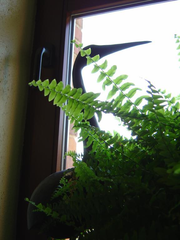 Bed and Breakfast Bed & Breakfast Schlommefurth St. Vith Номер фото